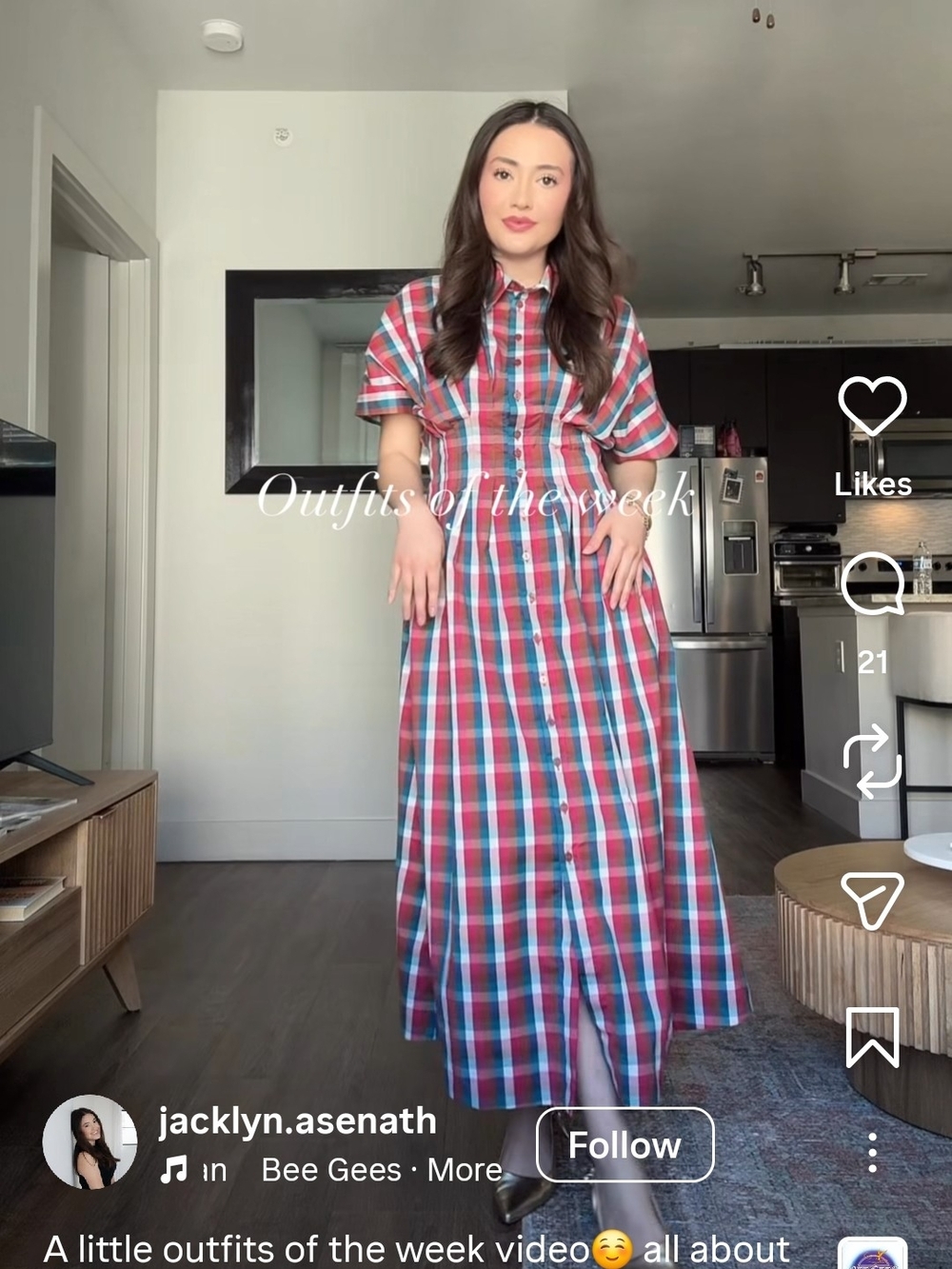 Anthropologie exquise tobie raspberry gingham dress - Picture 5 of 8